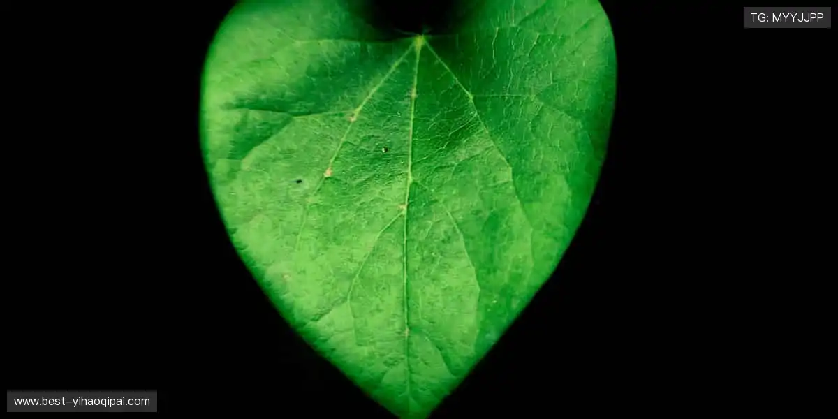 slider-1 Image
